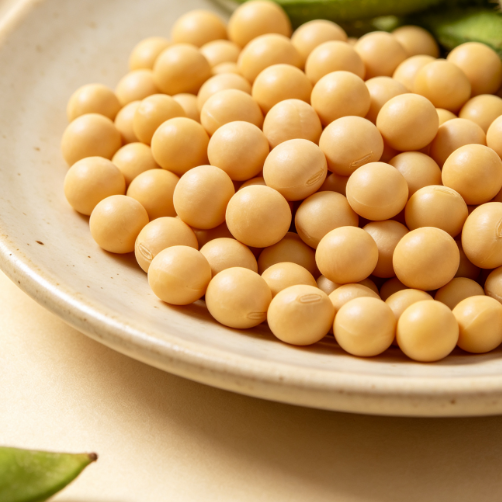 Organic soybeans
